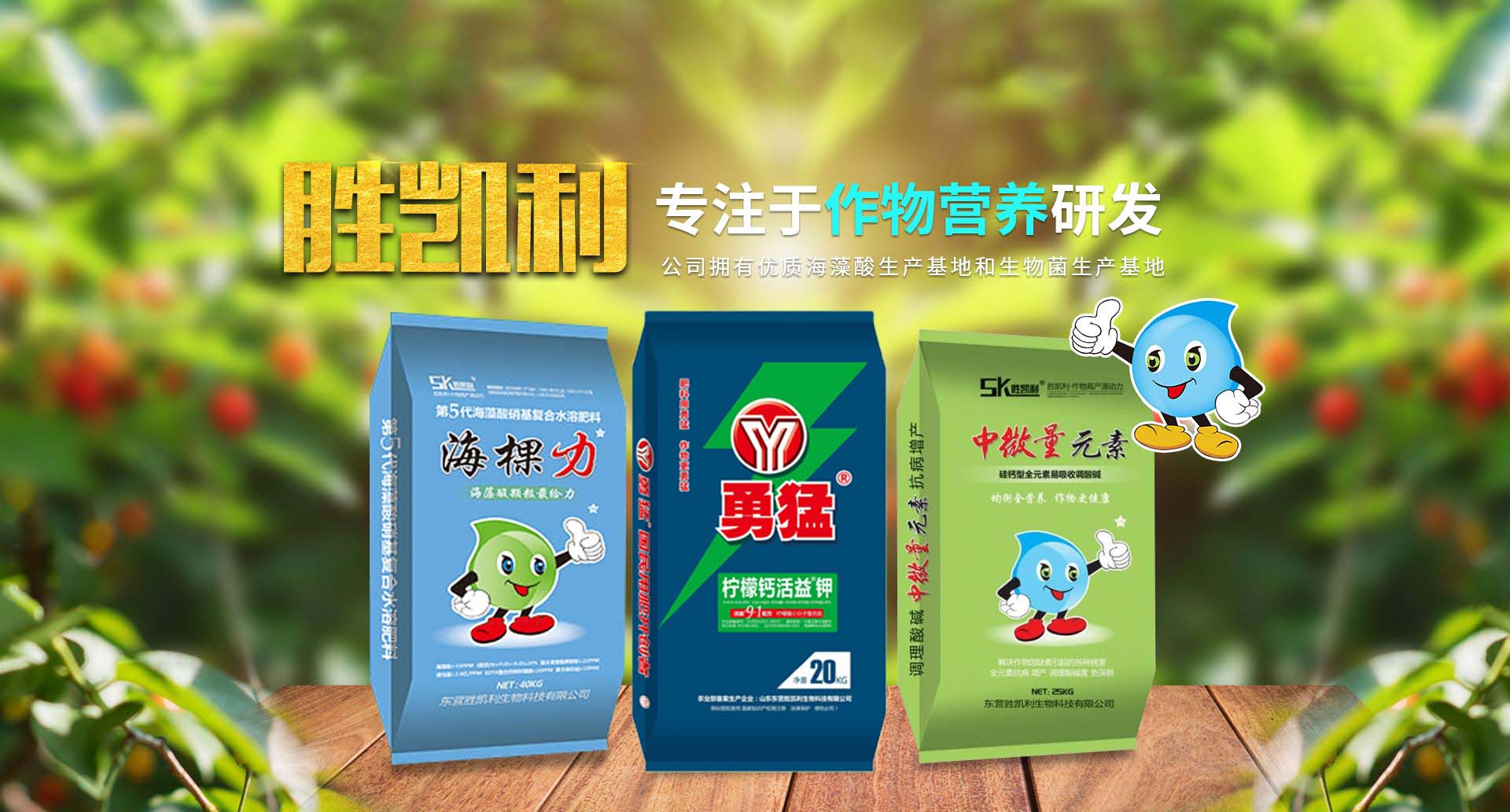 东营胜凯利生物科技有限公司