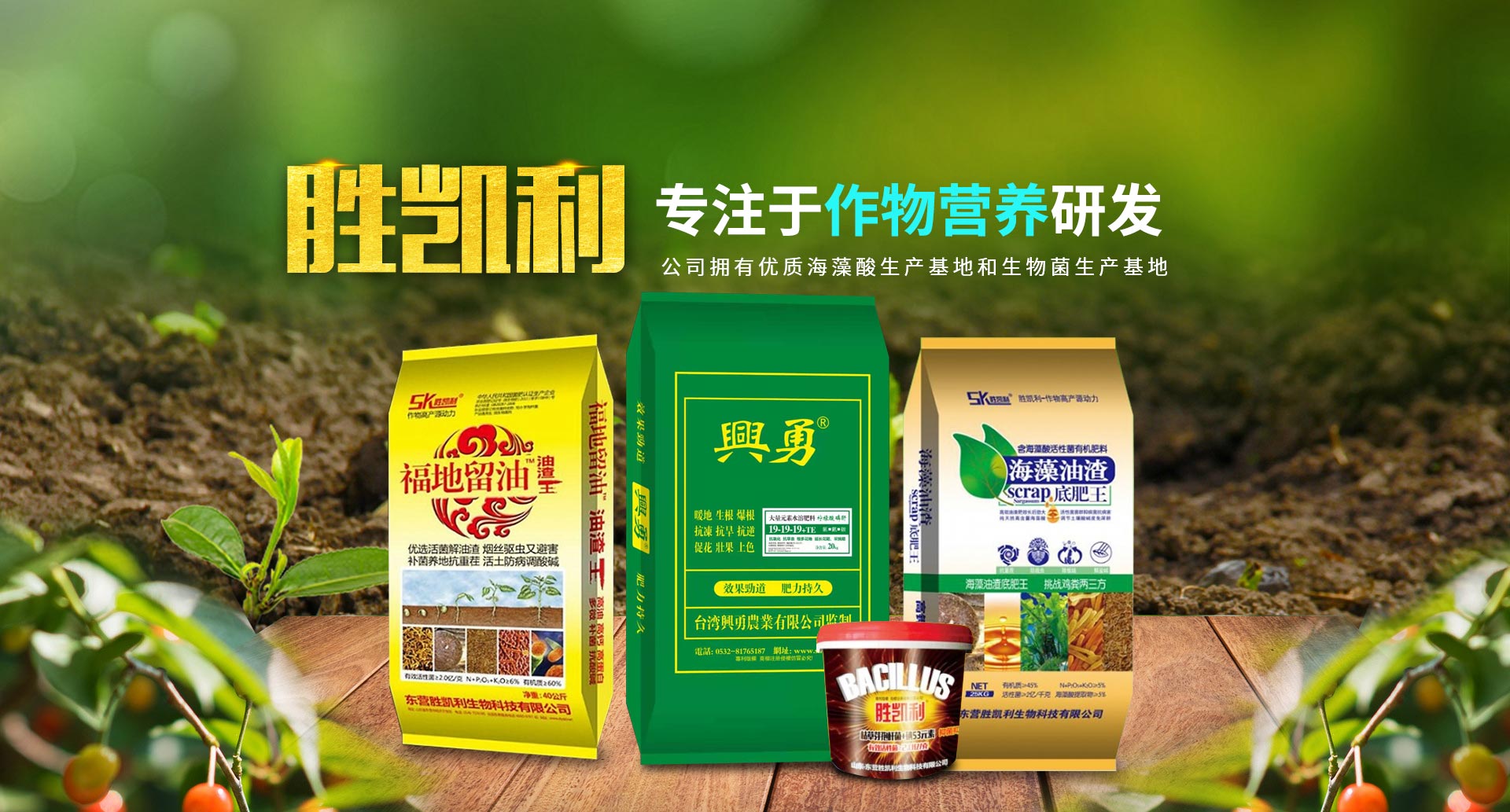 东营胜凯利生物科技有限公司